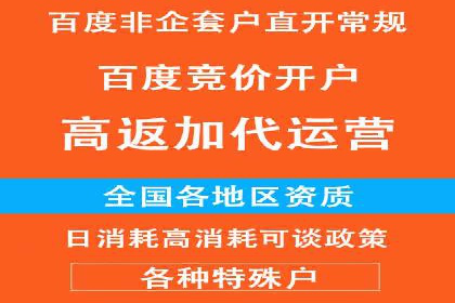 SEM推广优化策略：成功案例解析